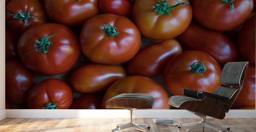 Fresh Tomatoes Wall Murals