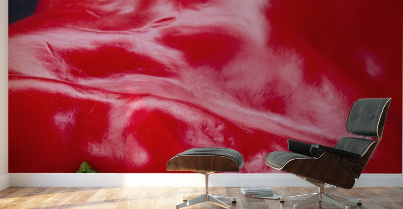 Red Pepper Bringing Sexy Back Wall Murals