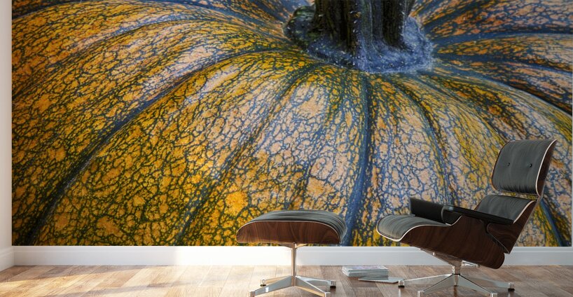 Pumpkin Pumpkin Wall Murals