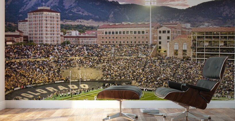 University of Colorado Boulder Go Buffs Wall Murals