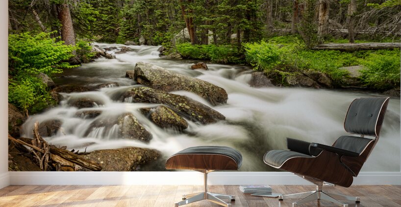 Roosevelt National Forest Stream Wall Murals