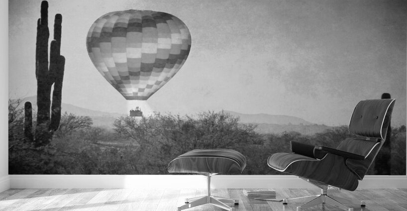 Hot Air Balloon Flight over Southwest Desert BW Fine Art Print   Wall Murals