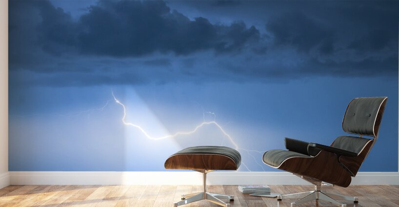 Skys Electric Vein Hooked Wall Murals