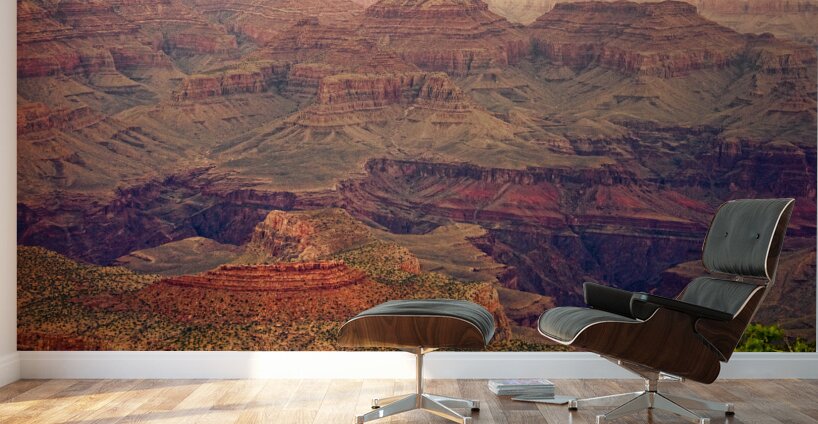 Amazing Colorful Spring Grand Canyon View Wall Murals