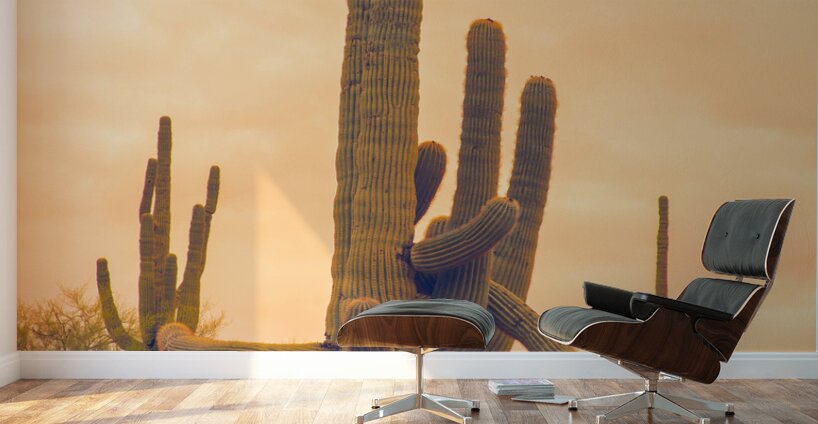 Classic Arizona Giant Saguaro Wall Murals