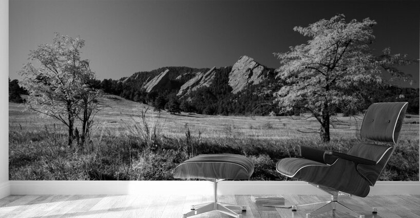 Boulder Colorado in Black and White Wall Murals