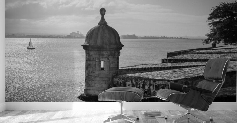 Timeless Scene Unfolds in San Juan Puerto Rico Wall Murals