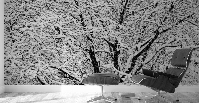 Black and White Snowy Tree Branches Abstract Three Wall Murals