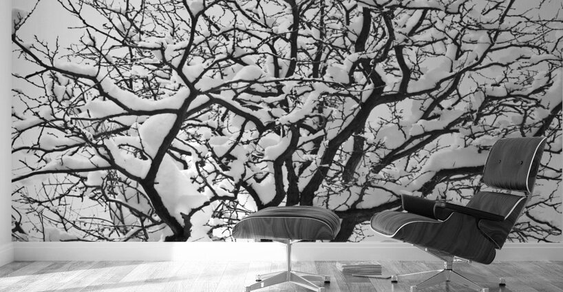 Snowy Tree Black and White Wall Murals