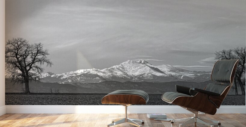 Twin Peaks Between The Trees BW Panorama Wall Murals