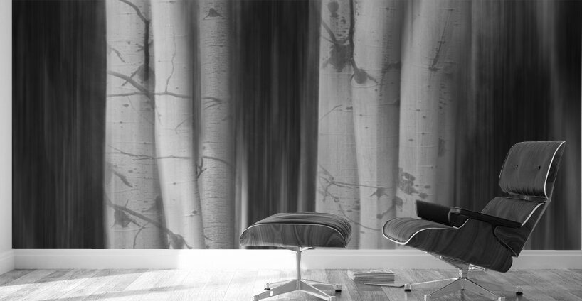 Aspen Tree Colonies Dreaming BW Wall Murals