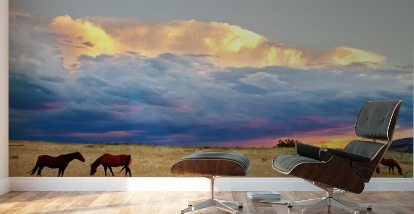 Horses On The Storm Wall Murals