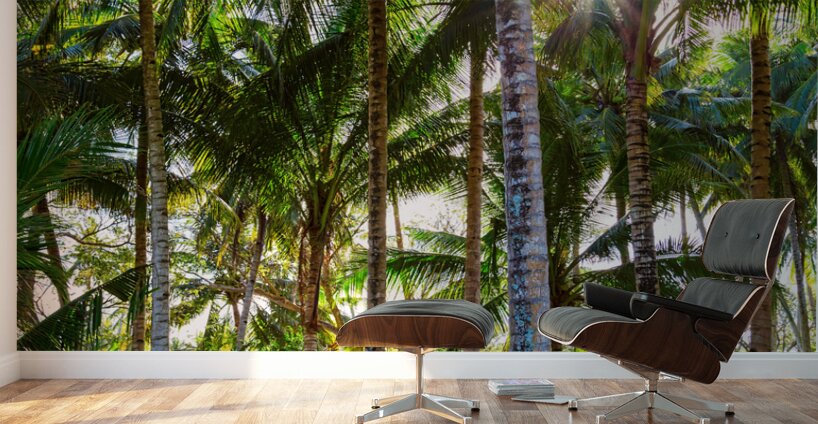 Tropic Sunshine Wall Murals