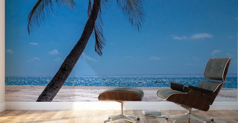 White Sand Beaches and Tropical Blue Skies Wall Murals