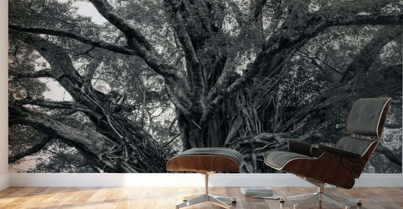 The Ancient Guardian: The 1300 Year Old Balete Tree Wall Murals