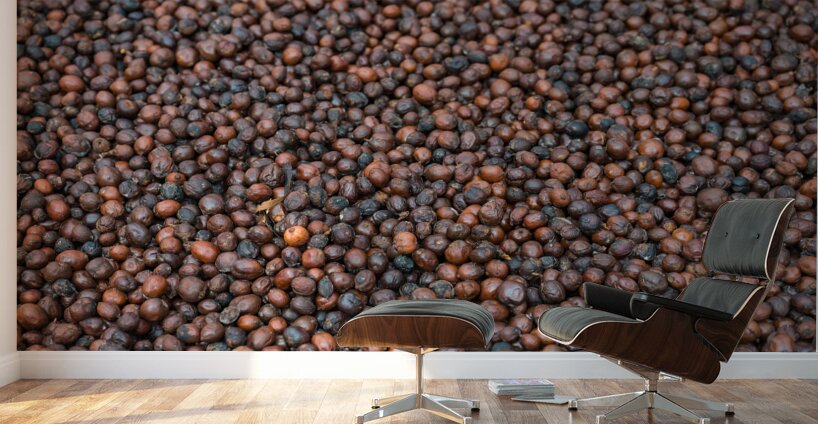  A Sea of Raw Coffee Wall Murals