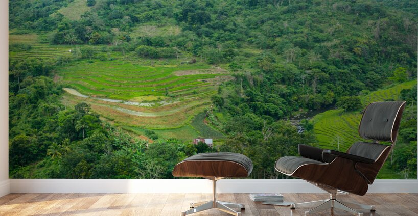 Mountain Rice Fields of Negros Island Emerald Tranquility Wall Murals