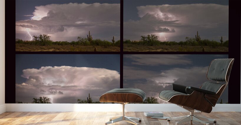 Storming Sonoran Desert Wall Murals