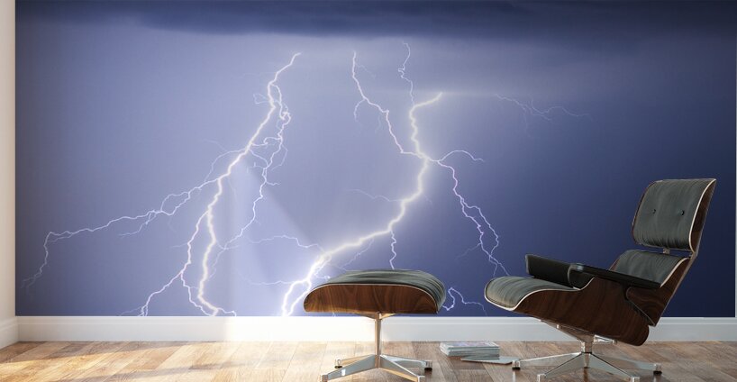 Taking It To The Ground Wall Murals