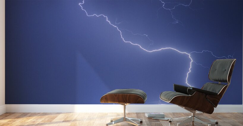 Nature Strikes Wall Murals