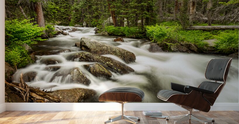 Roosevelt National Forest Stream Wall Murals