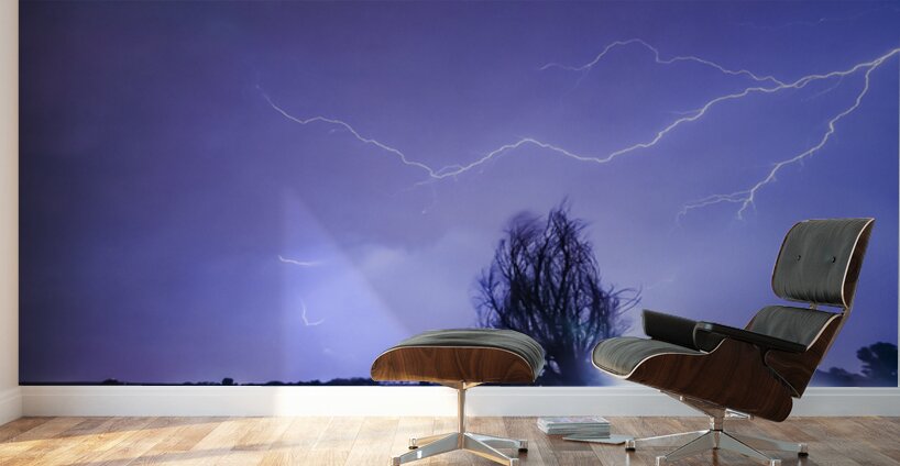 Ghost Rider Wall Murals