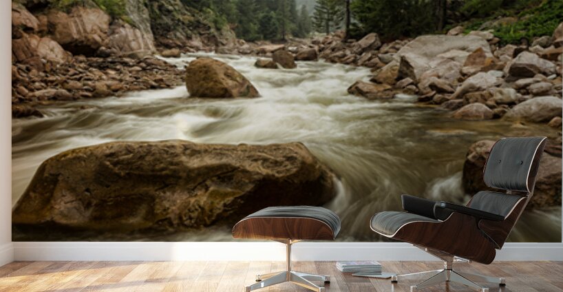 South St Vrain Canyon Portrait Boulder County Colorado Wall Murals