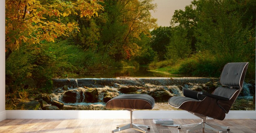 Beautiful Colorful Left Hand Creek Fall View Wall Murals
