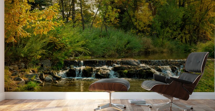 Lefthand Creek Longmont Autumn View Wall Murals