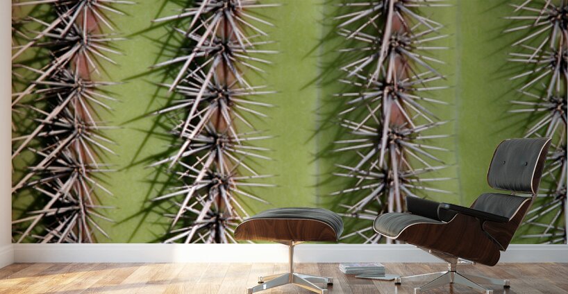 Vertical Close Up of a Southwest Saguaro Cactus Wall Murals