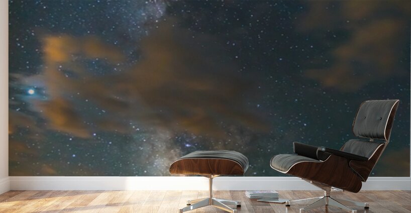 Forest In The Night Wall Murals