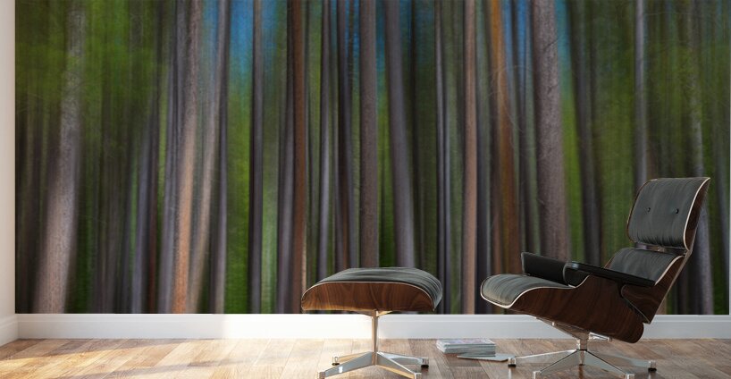 Colorful Forest Lines  Wall Murals