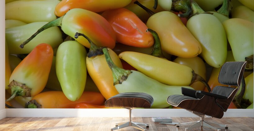 A Fiery Mix of Colorful Peppers Wall Murals