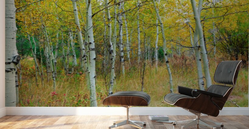 Radiant Autumn Forest Landscape in Gold and Red Wall Murals