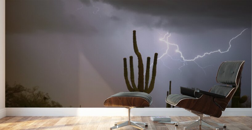 Desert Monsoon Lightning Saguaro Cactus Storm Photography Wall Murals
