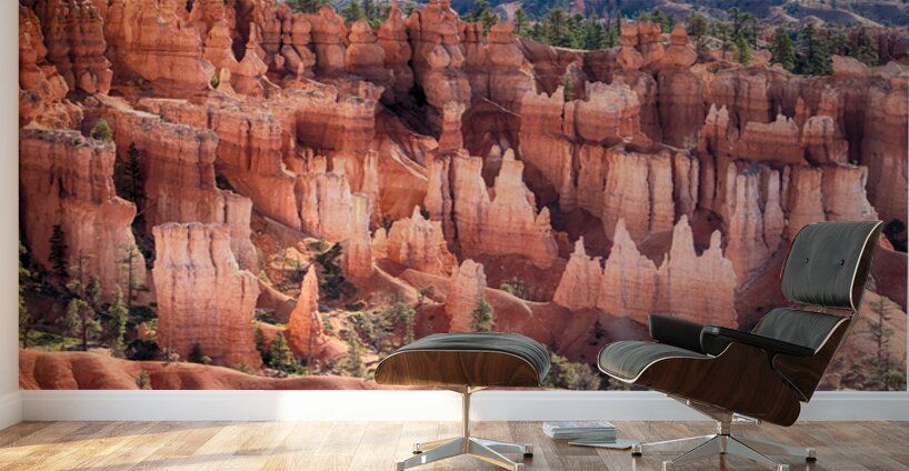 Bryce Canyon Utah Hoodoos Views Wall Murals