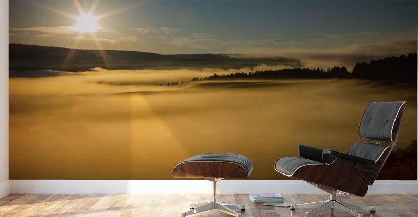 Golden Mist Sunrise Fog On Yellowstone Lake Wall Murals