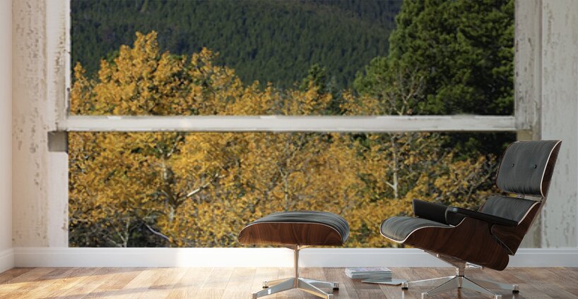 Colorado Autumn Longs Peak Window View Fine Art Print Wall Murals