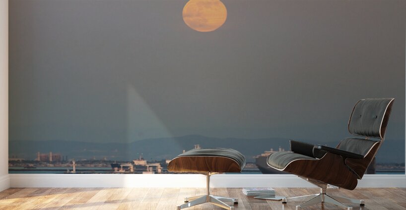 Full Moon Over the Port of Los Angeles Harbor Wall Murals
