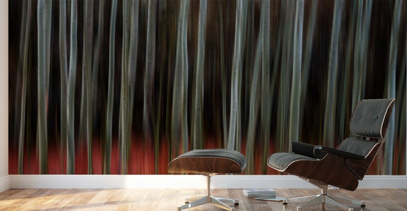 Whispers of Shadowed Light Fine Art Forest Motion Photography Wall Murals