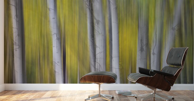 Aspen Light in Motion Fine Art Forest Wall Murals