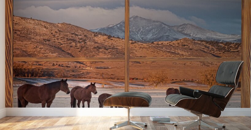 Wild Horses Mountain Window View Fine Art Landscape Wall Murals