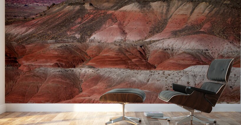 Painted Desert Strata Arizona Nature Landscape Wall Murals