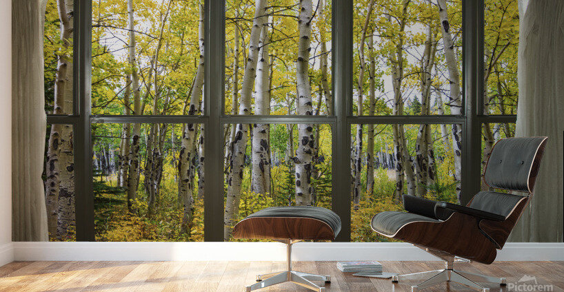 Autumn Forest Bay Window View Wall Murals
