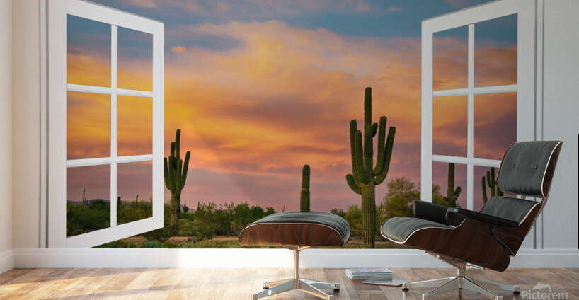 Arizona Saguaro Colorful Sky White Open Window Wall Murals