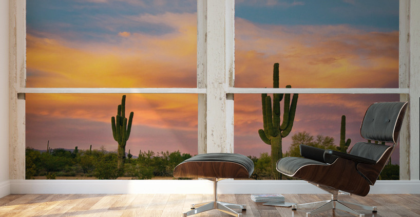 Colorful Southwest Desert Rustic Window View Wall Murals