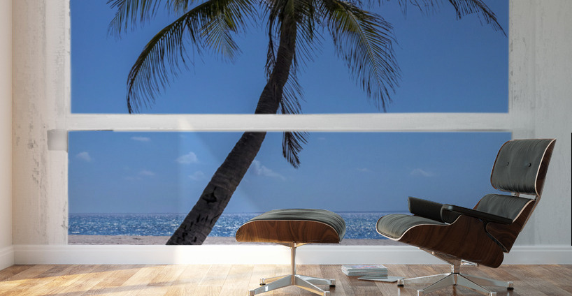 Palm Tree Tropical Window View Wall Murals