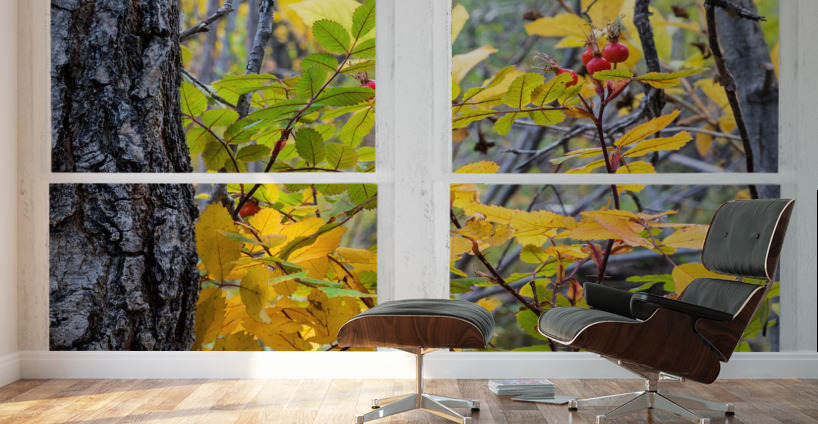 Wild Red Berries Forest Whitewash Picture Window Wall Murals