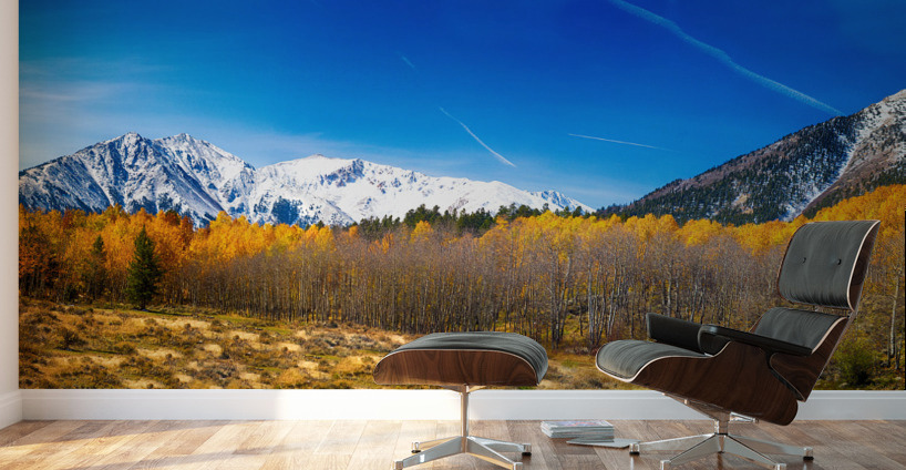 Colorado Rocky Mountain Independence Pass Fall Pano Wall Murals
