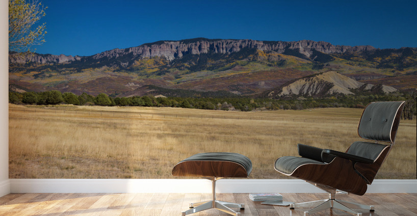 Telluride Panorama4 1 Wall Murals